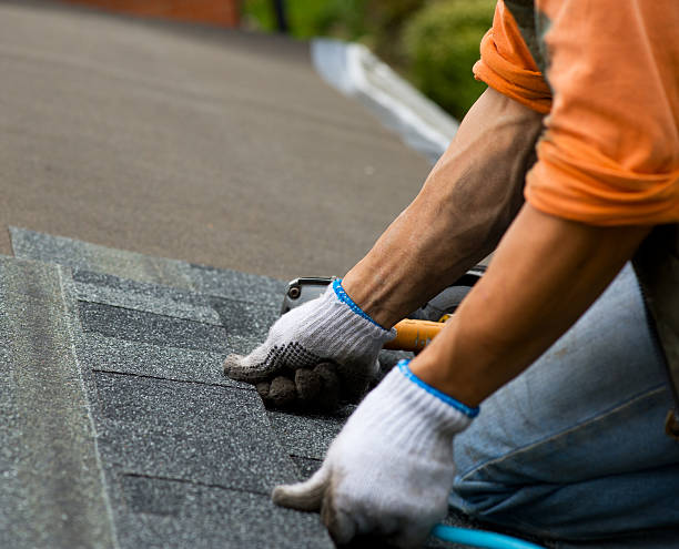 Best Roof Repair Services  in Ellsworth, WI